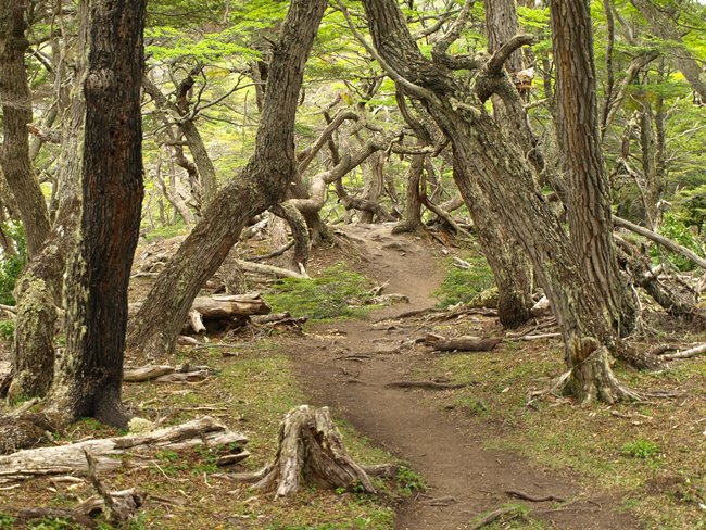 ../../Pictures/231209/095 Nationalpark Tierra del Fuego.JPG